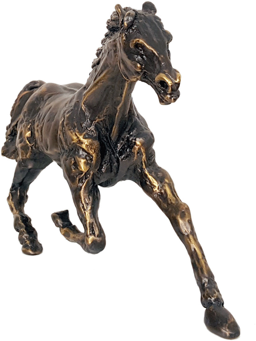 cercoarte-MONGINI-163411