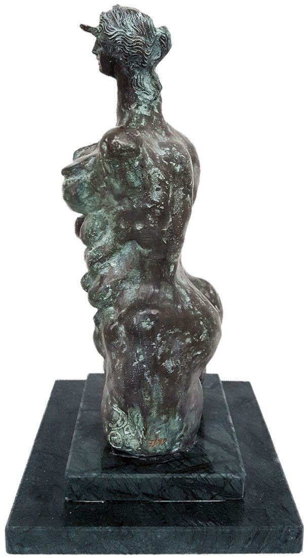 cercoarte-dal-165454